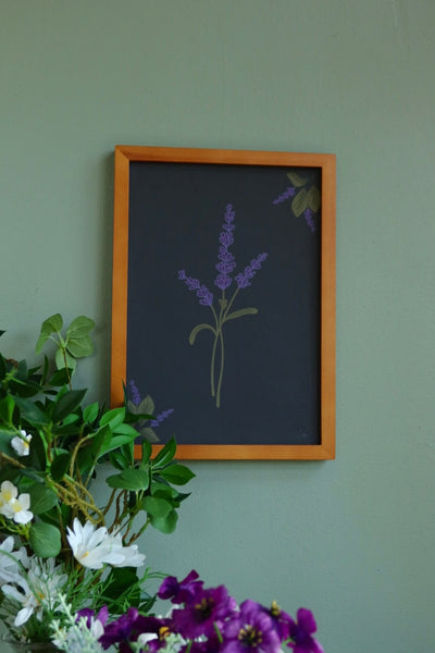 Lavender - framed art print