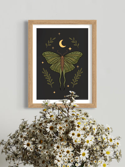 Leaf moth - framed art print