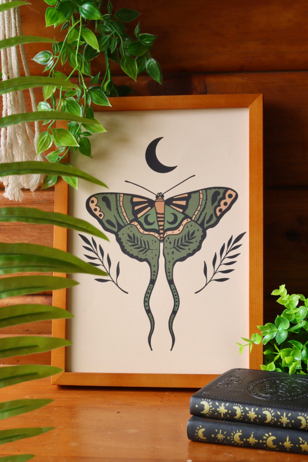 Moon moth - framed art print