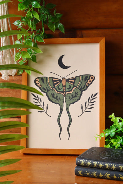 Moon moth - framed art print