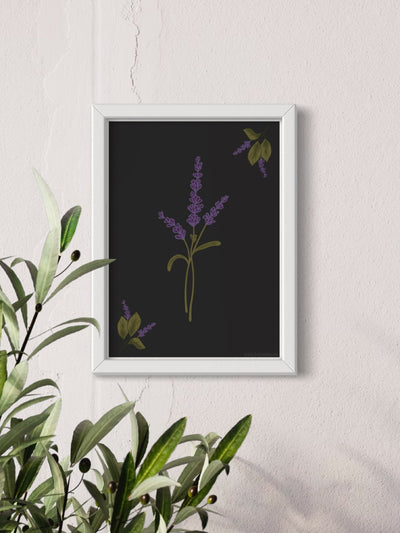 Lavender - framed art print