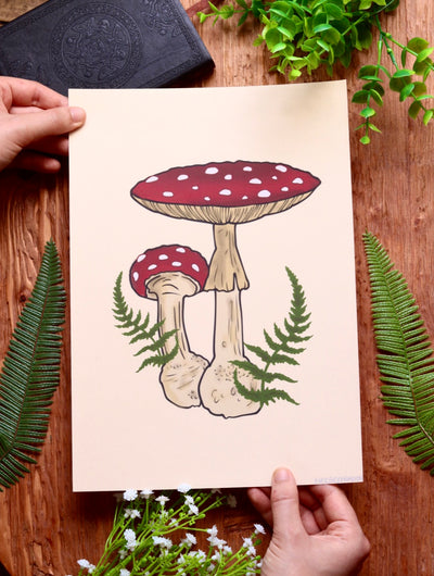 Toadstool mushroom fern - framed art print