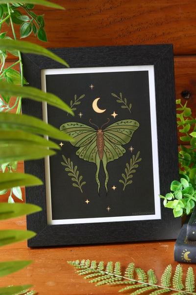 Leaf moth - framed art print