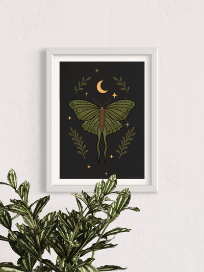 Leaf moth - framed art print