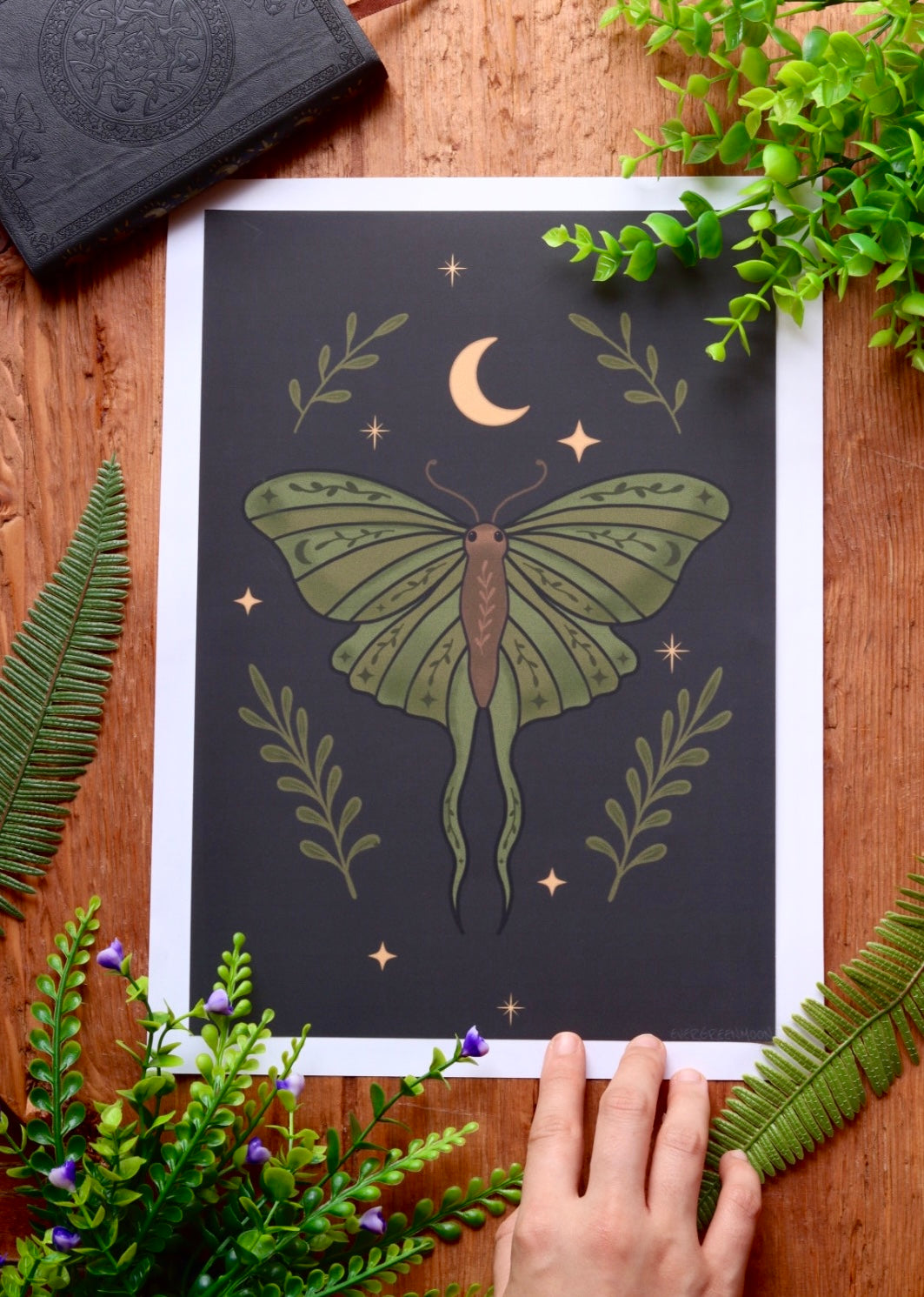 Leaf moth - framed art print