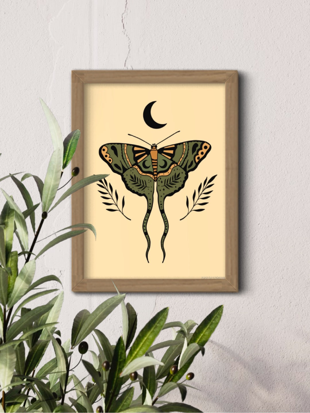 Moon moth - framed art print