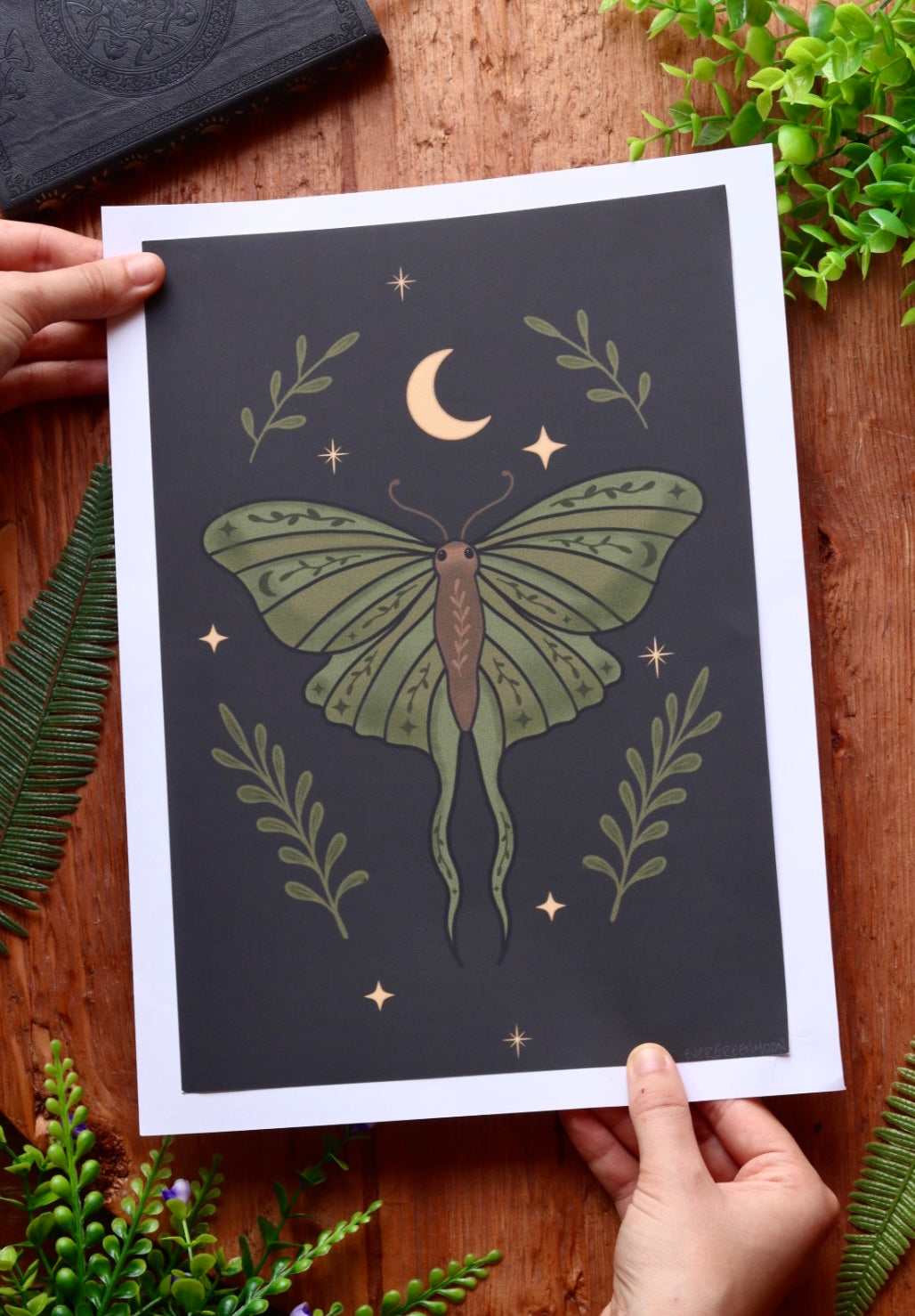 Leaf moth - framed art print