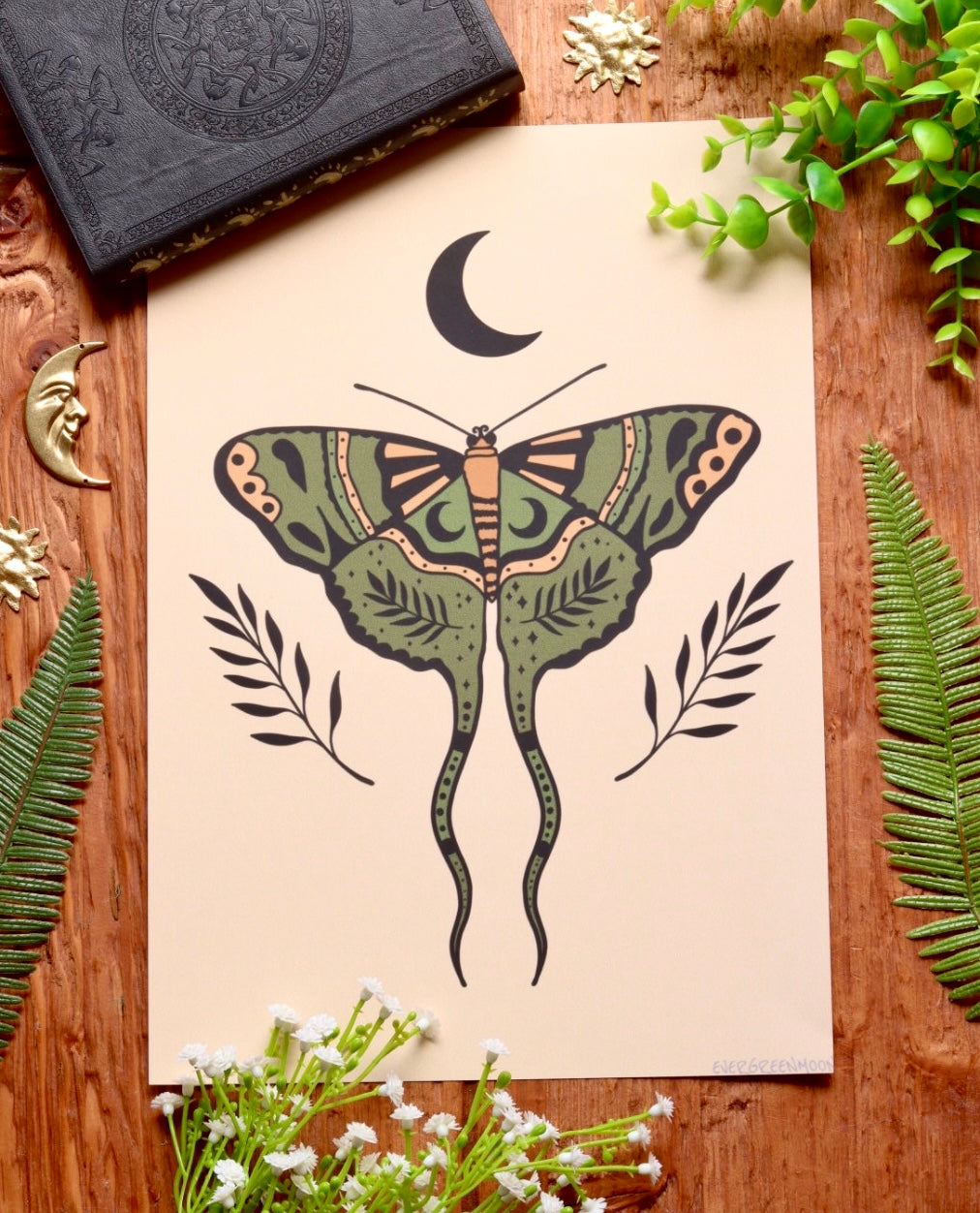 Moon moth - framed art print