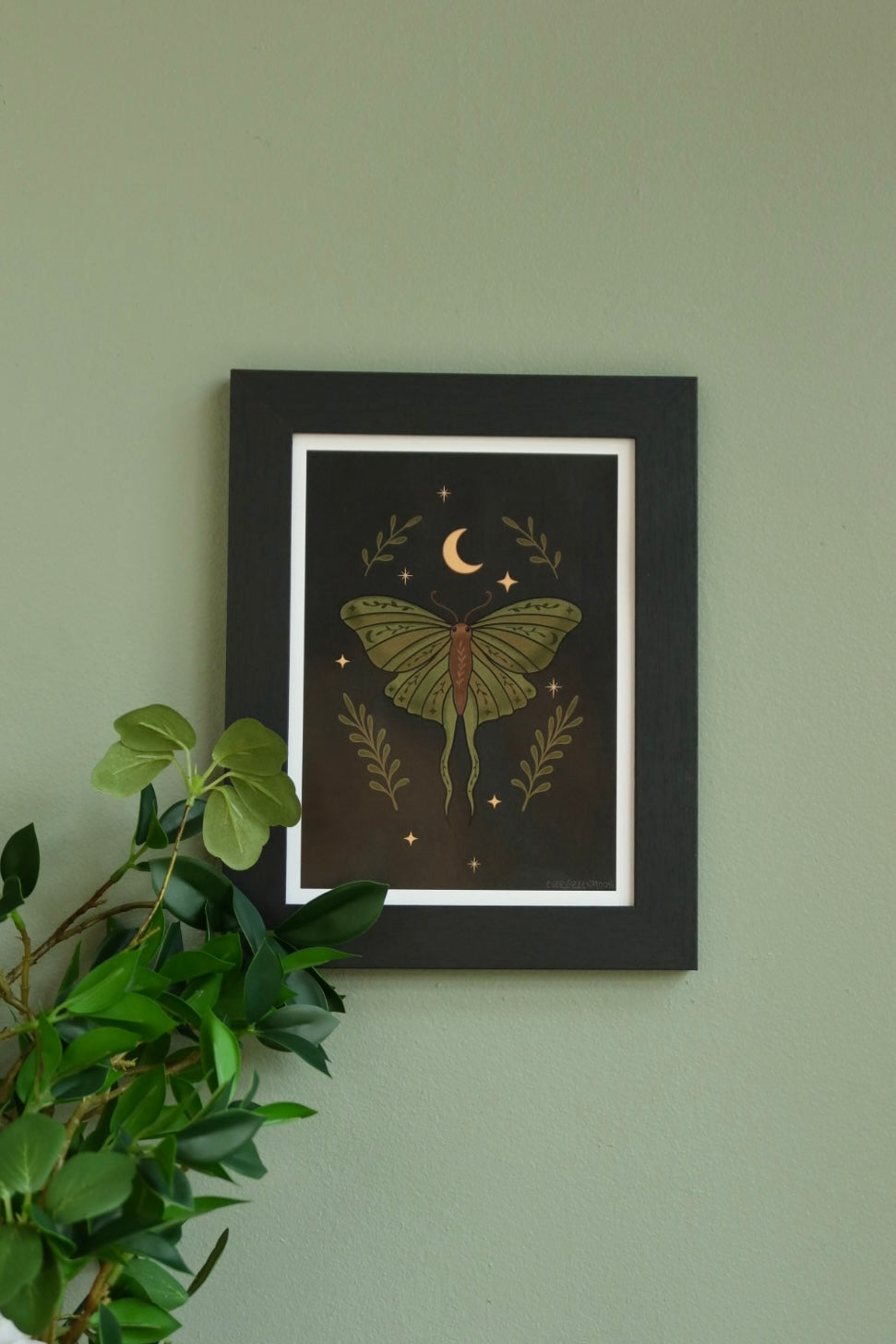 Leaf moth - framed art print