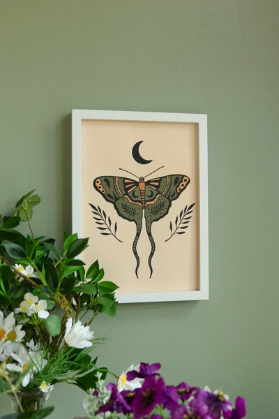 Moon moth - framed art print