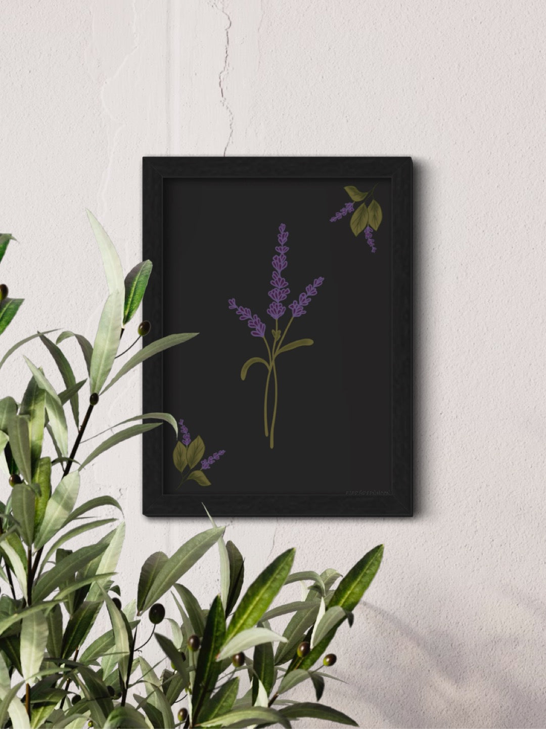 Lavender - framed art print