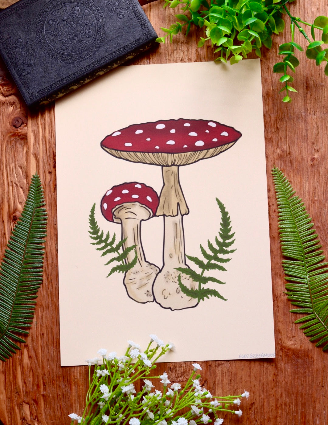 Toadstool mushroom fern - framed art print