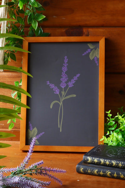 Lavender - framed art print