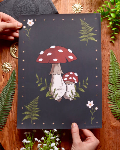 Toadstool mushroom ferns flowers - framed art print